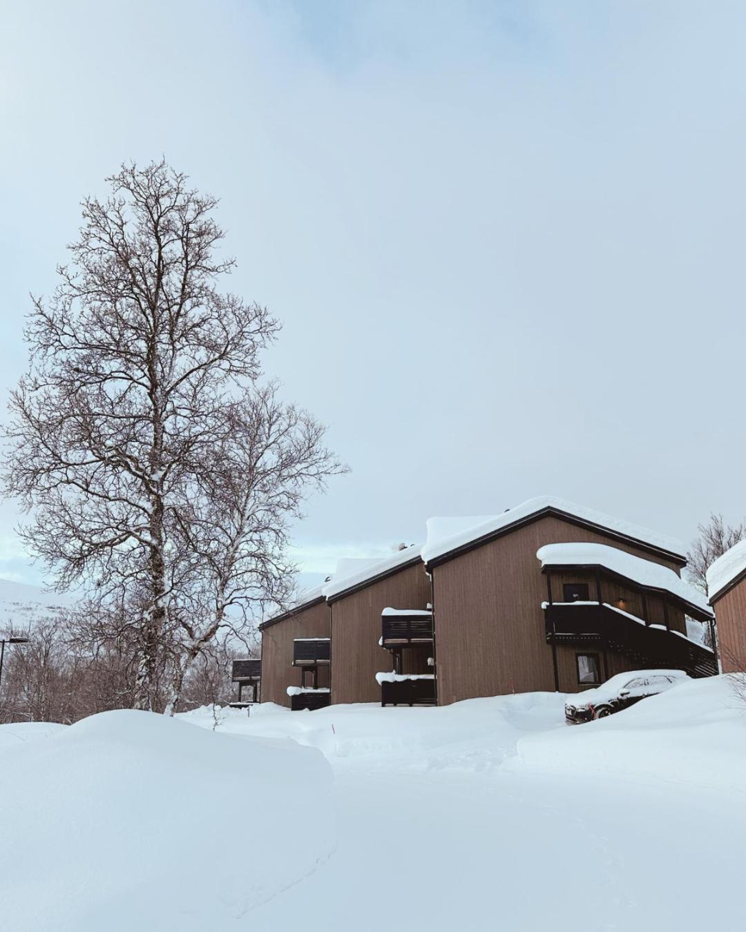 Skaidi Luxury Lodge - Heart Of The Arctic Hammerfest Eksteriør billede